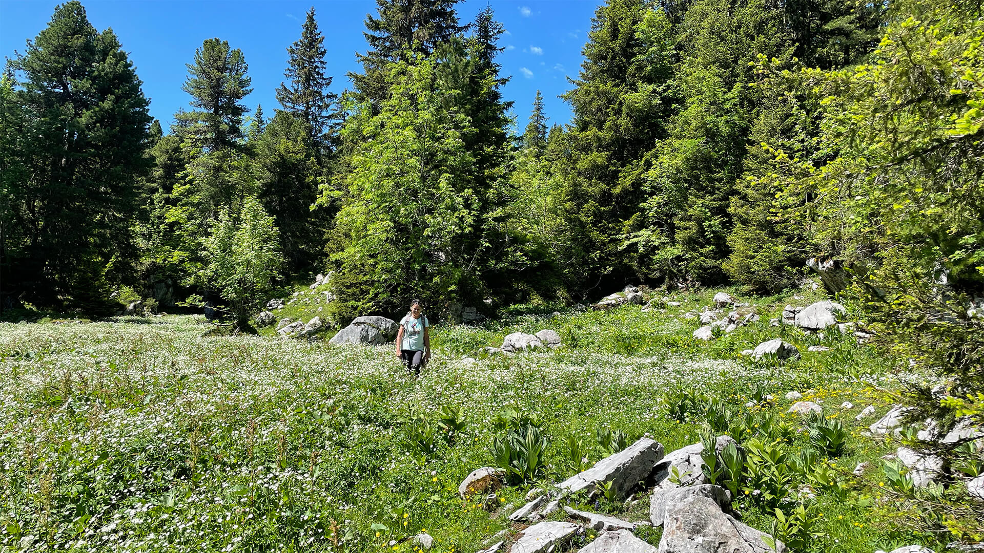 Chalet Edelweiss adventures