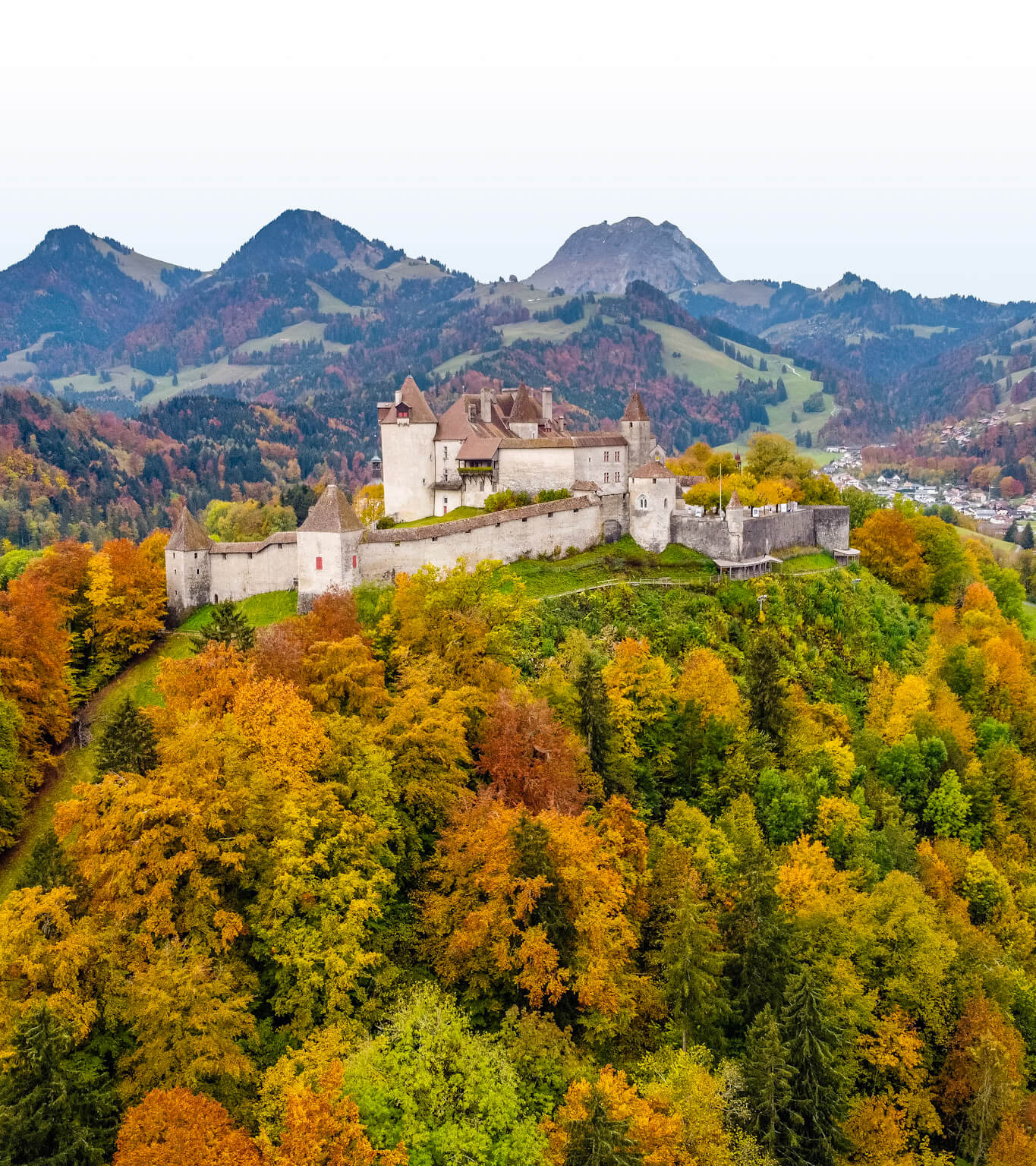 Chalet Edelweiss environment