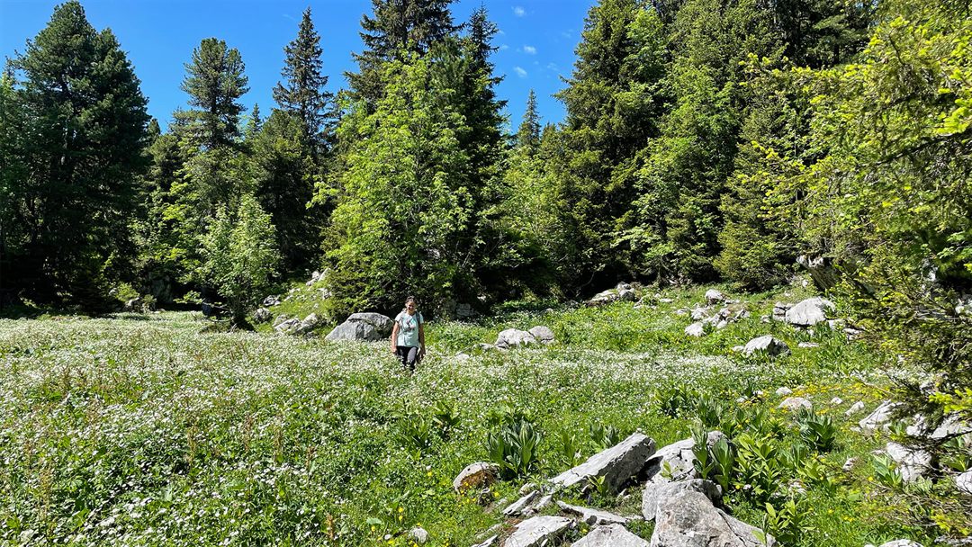 Chalet Edelweiss adventures