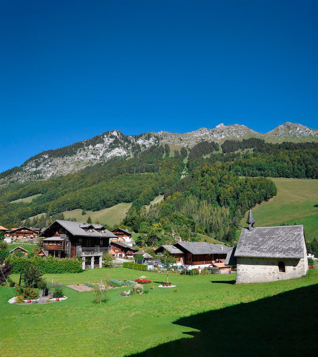 Chalet Edelweiss View 5